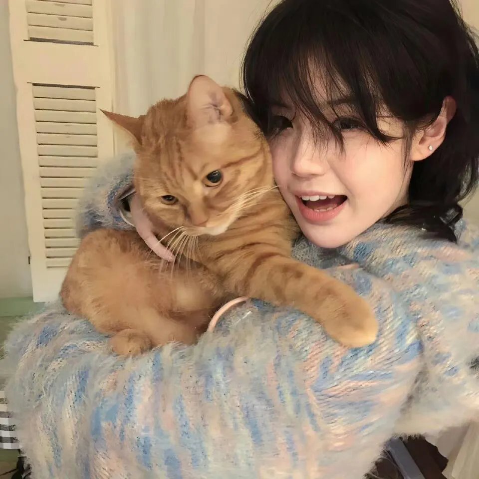 公寓2024