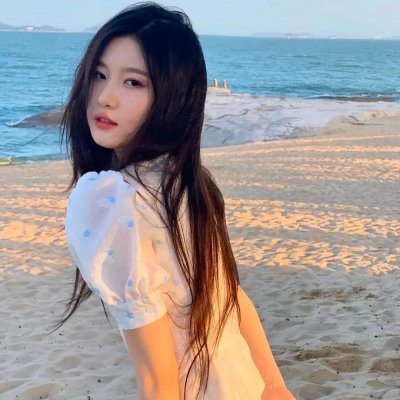 奥斯汀书会