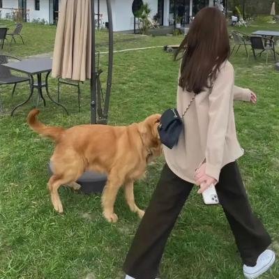 当女孩恋爱时